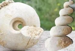 Bağcılar'da 10 milyon yıllık deniz minaresi fosili bulundu