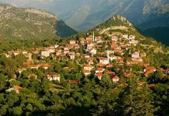 Tarihi düğmeli evlerin bulunduğu Ormana, dünyanın en iyi turizm köyü seçildi