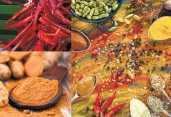 Baharatlar sağlığın baharı mı?