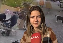 Kafede pitbull dehşeti! 'Önce bana sonra köpeğime saldırdı'