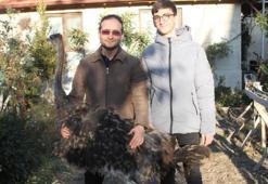 Sahibinden cep telefonuyla takaslı deve kuşu