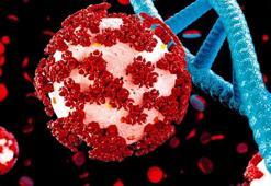 Kovid-19 bu kez iyileştirecek! Kansere karşı Virüs kullanılacak