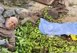 Antalya'da muz serasında facia! Halat koptu: 2 ölü, 2 yaralı
