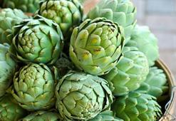 Sert kabuklarının içindeki sinarin ilaç gibi! İyi gelmediği hastalık yok, karaciğer dostu