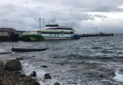 Deniz ulaşımında çok sayıda sefer iptal oldu