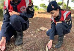 Sadece 15 gün görülüyor! Jandarma başında nöbet tutuyor