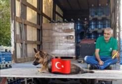 İstanbul'da ilçe ilçe gezip katliam yaptı! Ölü sayısı 8'e yükseldi