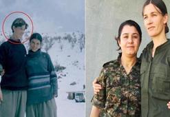 MİT'ten Sincar'da operasyon