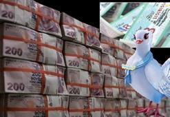 Milli Piyango yılbaşı büyük ikramiyesi 600 milyon TL! 'Ya çıkarsa?'