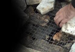 2 bin 200 yıllık mühendislik harikası! 5 büyük deprem yaşadı: Sistem hala çalışıyor