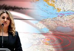Korkutan açıklama: Kent merkezinden fay geçen 24 ili tek tek saydı: Her 7 yılda bir büyük deprem oluyor