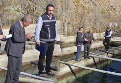 Bu sefer Van'da görüldü! Ortaya çıkan manzara şaşkına çevirdi