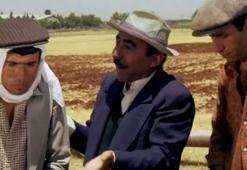 Kibar Feyzo nerede, ne zaman çekildi? Kibar Feyzo konusu nedir, oyuncuları kimler?