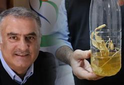 Nermut Dağı'nda keşfetti, eşinin adını verdi: Fritillaria Arzuae