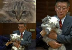 Putin'in Japonya'ya hediyesi "barış" kedisi hayatını kaybetti