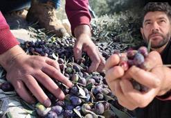 Çift kollu mucize: Her işimi kendi başıma yapabiliyorum