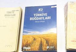 Türk tarımı için hazine