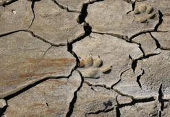 Bursa barajlar alarm veriyor! Son 10 yılın Aralık ayı en düşük seviyesi