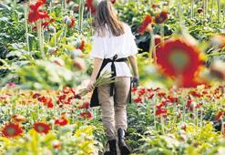 İşgücü köprüsüne kadınlar akın etti