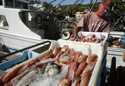 İspanya'da balıkçılar AB'ye karşı ayaklandı