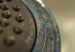 Duş başlığı deyip geçmeyin, evdeki mikrop yuvasıymış! Hep göz ardı ediyoruz ama düzenli temizlemeyince akciğerlere kadar iniyor