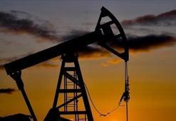 Küresel petrol arzı arttı