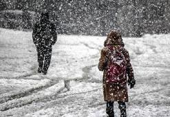 13 Aralık 2024 Van'da okullar tatil mi, bugün okullar var mı yok mu? Valilikten açıklama geldi!