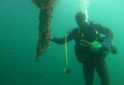 Çanakkale'de tespit edildi! Tam 16 bin metrekare