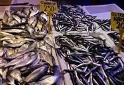 Hamsi fiyatına rağmen yoğun ilgi gördü