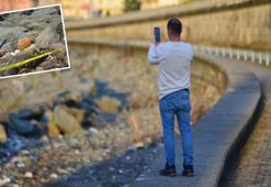 Rize'de patlamamış bomba bulundu! Ekipler hemen harekete geçti