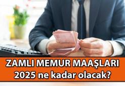 ENFLASYON HABERLERİ ✅ Memur zammı ne kadar, memura ek zam var mı? 2024 / 5 Aylık enflasyon farkıyla memur maaşı zammı ne kadar? 2025 Ocak zamları ne zaman açıklanacak?