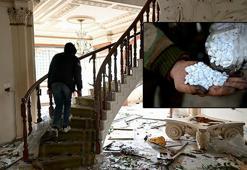 Esad'ın Lazkiye'deki mirası: Gösterişli villalar, uyuşturucular