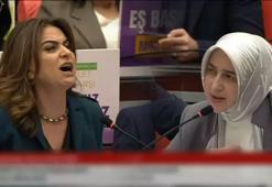 TBMM'de Suriye tartışması: DEM Parti'ye tepki yağdı!