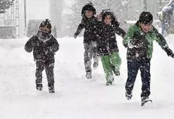 Meteoroloji uyarmıştı! Yoğun kar nedeniyle Ardahan'da okullar tatil edildi