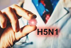 Sağlık Bakanlığı 📌 Kuş gribi belirtileri nelerdir, nasıl bulaşır? (H5N1) Kuş gribi tedavisi var mı, nedir?