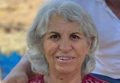 Tunceli'de dehşet! Beslediği boğanın saldırısında hayatını kaybetti