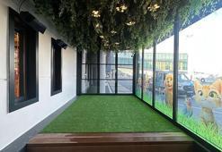 THY İstanbul Havalimanı'na Pet Lounge açtı
