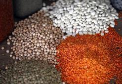 Bitkisel üretim bu yıl yüzde 5 azaldı