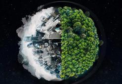 İklim krizi: 2024'te fazladan 41 tehlikeli gün daha yaşadık!