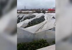 Fırtına ve yağış, Manavgat'ı vurdu