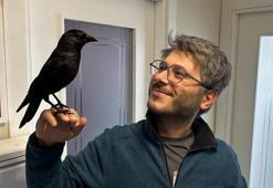 Doktorun karga ile olan dostluğu şaşırtıyor
