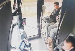 Yağmurdan kaçan köpek çareyi otobüse sığınmakta buldu