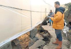 İklime karşı çiftçiye sigorta kalkanı