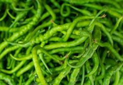 Acı ve tatlı biberi ayırt etmenin en kolay yöntemi! Saplarındaki bu çıkıntıya bakın