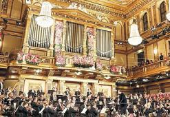 Viyana’dan dünyaya hediye