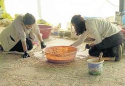 Roma mozaikleri evine döndü