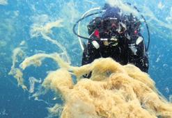 Marmara’ya yayılıp Kuzey Ege’ye ulaştı