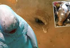 1 damla gözyaşı için büyük canilik! Kapış kapış gidiyor, sebebi 'mucize'leriymiş