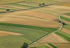 Çiftçilere tarımsal destekleme ödemesi