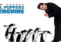 Babamın Penguenleri filmi konusu nedir ve oyuncuları kimler? Babamın Penguenleri filmi ne zaman ve nerede çekildi?